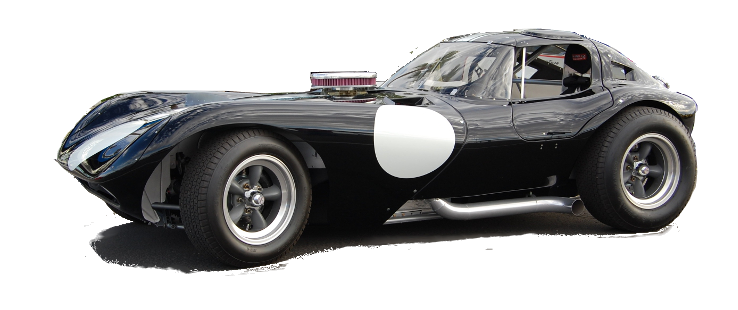 BTM LLC Cheetah Number 7